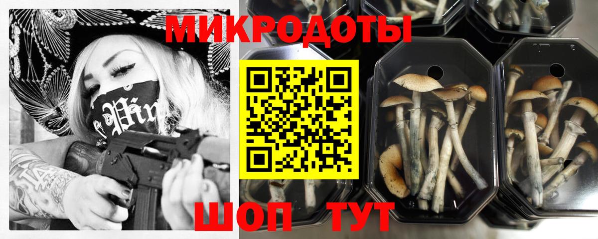 Псилоцибиновые грибы Magic Shrooms Новосибирск